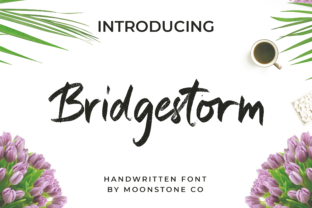 Bridgestorm: A Bold Script for Creative Projects