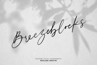 Transform Your Brand with Breezeblocks: A Charming Script Font